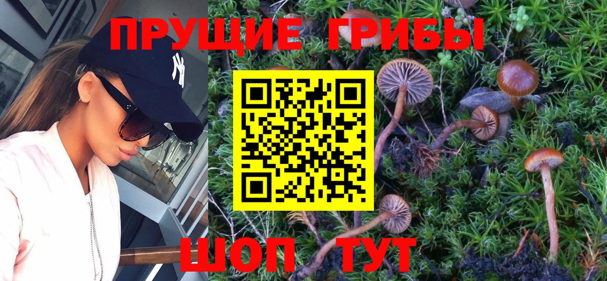 Снежинск  Псилоцибиновые грибы MAGIC MUSHROOMS  Галлюциногенные грибы MAGIC MUSHROOMS  Вход с VPN 